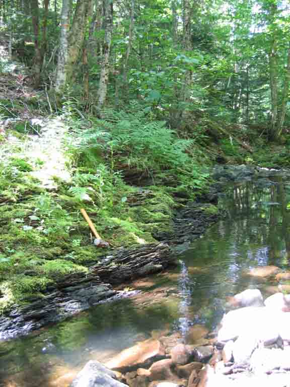 Colour photograph of trees, brooks and rocks