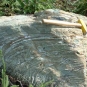 Colour photograph of gray rock with hammer for scale