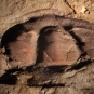 Image couleur de roche brune avec trois bosses fossilisées