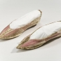 Image couleur de souliers rose et brun pointus à talon plat