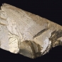 Colour image of brown rock with smooth edges and some sheen