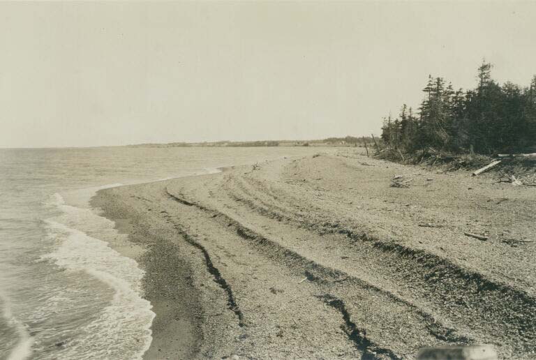 Black and white photograph of a beach on the ocean with trees